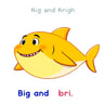 Big and Bright