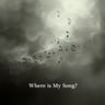 Where Is My Song?