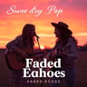 Faded Echoes