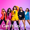 Can't Say It