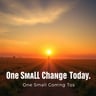 One Small Change Today