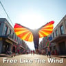 Feeling free