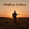 Wildflower In Bloom