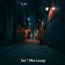 Sei il Mio Loop