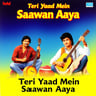 Teri Yaad Mein Saawan Aaya