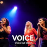 Voice Cut Clean