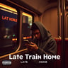 Late Train Home
