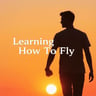 Learning How To Fly