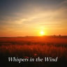 Where the wind once stayed