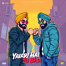 Yaari Hai Tu Bhai