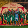Lions on the Pitch