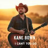 I Can't Let You Go
