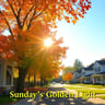 Sunday's Golden Light