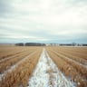 THE DAY THE NORTHERN PLAINS STOOD STILL