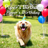 Piper's Birthday