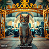 A Game Bout' Catz