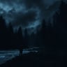 Wild and Free