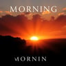 Morning