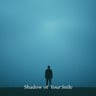 Shadow of Your Smile