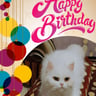 Happy Birthday Icee
