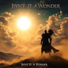 Isn't It A Wonder