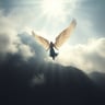 Angels in Tibet
