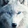 Echo ("Guardian Wolf: A Scar in Time" on Wattpad)