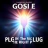 Plug In The Right Plug