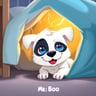 Mr. Boo