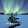 Släpp Taget Nu