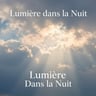 Lumière Dans La Nuit par Brigitte Minier