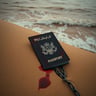 Blood on the Passport