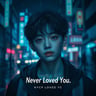 Never Loved You