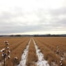 THE DAY THE NORTHERN PLAINS STOOD STILL