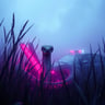 Snake in the Grass