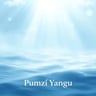 Pumzi Yangu