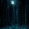 Winter Darkness