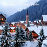 Merry Christmas Wishes