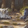 The Wolf and the Raven